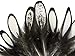 Moonlight Feather | 1 Dozen - Natural White Whiting Farms Laced Hen Saddle Feathers Fly Tying Craft Halloween Supply