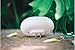 FAMI Updated LED Wall Light Night Light with Motion Sensor and Dark Sensor Bathroom Night Light