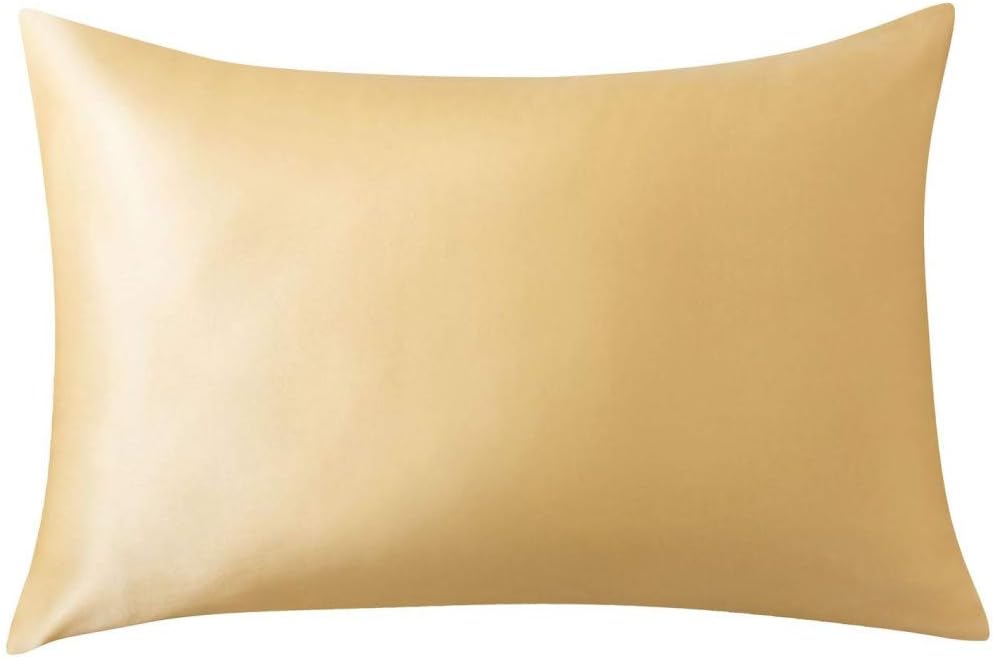 Ethereal Lomoer 100% Natural Pure Silk Pillowcase for Hair and Skin, Both Side 19mm, Hypoallergenic, 600 Thread Count, Hidden Zipper Design (Standard, Champagne)