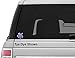 Vinyl Junkie Graphics 3 inch Sea Turtle Sticker for Laptops CupsTumblers Cars and Trucks Any Smooth Surface (Rainbow tie dye)