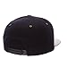 NCAA Zephyr Men's Executive Snapback Hat
