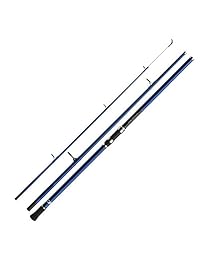 Daiwa Sensor Surf, 100   250 g, Surfcasting Spinning caña de pesca