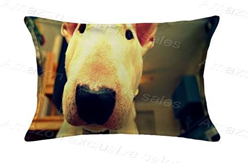 Fashion Design Bull Terrier Standard Size Pillowcases 20x30 Pillow Cover With 2 Sides Printing