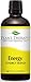 Plant Therapy Essential Oils Energy Synergy - Refreshing, Energizing Blend 100% Pure, Undiluted, Natural Aromatherapy, Therapeutic Grade 100 mL (3.3 oz)