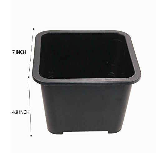 MUZHI 8PCS-PACK Large Black Square Succulent Planters Pots, Plastic Cactus Planters Bonsai Tree Miniascape Plant Containers With Rolled Edge and Grid Bottom,7 INCH