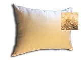 Kapok Fiber Filled Premium Standard Size Medium Filled Pillow with Organic Cotton Covering