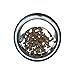 Enhanced Pet Bowl, Stainless Steel Slanted Dog Bowl with Raised Ridge, Food-Grade Non-Slip No Spill Bowl for Dogs, Less Mess, Less Gas, and Better Digestion (Medium)