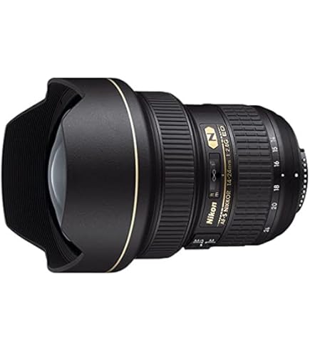 Amazon.com : Nikon Lens Nikkor AF-S 14-24mm f/2.8G ED, Black