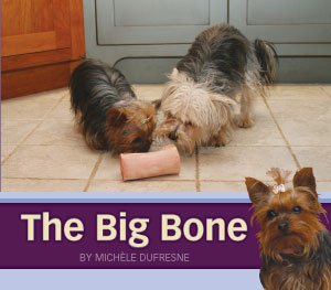 Big Bone, The