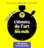 L'histoire de l'art vite et bien pour les nuls by 