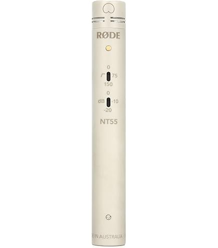 【小結】RODE / NT55 Matched Pair RODE NT55 Compact Condenser Microphone NT55 MATCHED PAIR B&H
