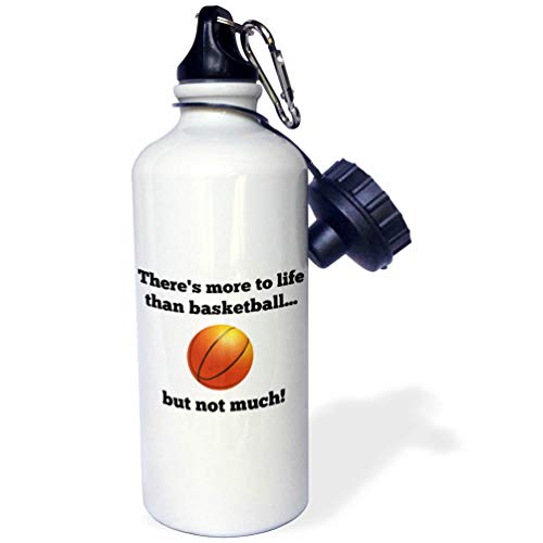 3dRose wb_218526_1 Theres more to life than basketball but not much - Sports Wa…