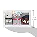 OLABB Unisex Baby Socks Knee High Stockings Animal Theme 6 Packs Gift Set, Animals B, S 0-12 months