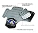 TRIBE Running Phone Holder Armband. iPhone & Galaxy Cell Phone Sports Arm Bands for Women, Men, Runners, Jogging, Walking, Exercise & Gym Workout. Premium Japanese Lycra. Strap Extension & Key Pocket.