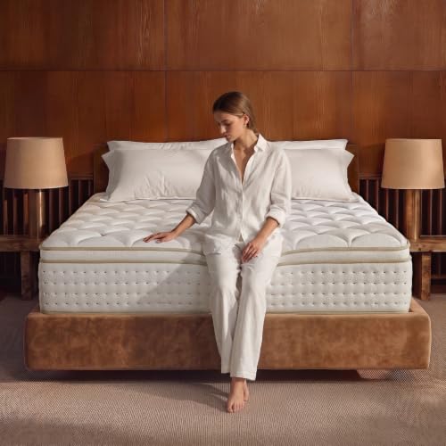 Bluesolo 14 Inch Hybrid Queen Mattress