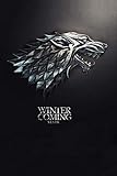 Winter is Coming, Stark: Game of thrones notebook, 100 lined pages by MovieNotebooks