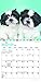 Shih Tzu Puppies 2019 7 x 7 Inch Monthly Mini Wall Calendar, Animal Small Dog Breed Puppies (English, French and Spanish Edition)