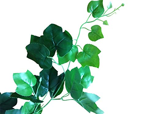 KERUIDENG Reptile Plants - Vines for Reptiles Terrarium- Amphibian Habitat Plants -6.8ft - Thumbnail 7
