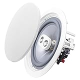 OSD Audio Weatherproof 8" in Ceiling Dual Tweeter