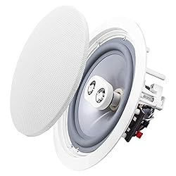 OSD Audio Weatherproof 8" in Ceiling Dual Tweeter