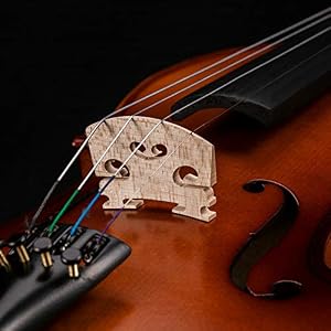 Winzz-Violine-Voller-Gre-44-Ausstattung-Massivholz-Schler-Erwachsene-Anfnger-Violinenset-Braun