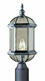 Trans Globe Lighting 4186 BK Outdoor Wentworth 19.75" Postmount Lantern, Black