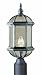 Trans Globe Lighting 4186 BK Outdoor Wentworth 19.75" Postmount Lantern, Black primary