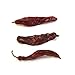 Spice Jungle Serrano Chile Peppers, Whole - 4 oz.