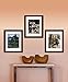 Timeless Frames 12x16 Inch Fits 9x12 Inch Photo Supreme Solid Wood Wall Frame, Espresso - 51082