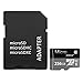 MATTONS 256GB Micro SD SDXC Card, Class 10 Memory TF Card with Adapter-Fit for Phone,Tablet and PCs