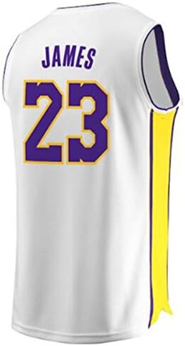 LeBron James Purple Jersey Number 23 Los Angeles Lakers Player 2018