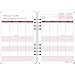 Orange Circle Studio 17-Month 2017 Do It All Planner, Secret Garden