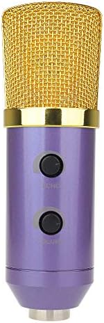 LIDIWEE Condenser Vocal Recording Microphone BM-100FX with Mic Shock Mount For Radio Broadcasting Studio, Voice-over Sound Studio Recording, Purple