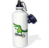 All Smiles Art Sports and Hobbies - Funny Alligator Using Motorized Skateboard - 21 oz Sports Water Bottle (wb_224790_1)