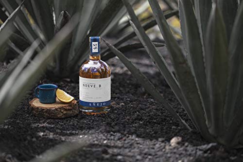 Tequila Nueve B Añejo - Premium Tequila aus 100% blauer Weber Agave - 38% vol. 0,7l Flasche – Bild 3