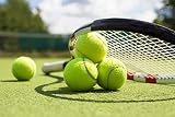 Wilson Unisex Extra Duty Us Open XD Tennis Balls 4 Pack Yellow view 4