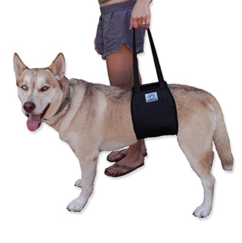 Dog Lift Support Rehabilitation Harness for canines aid - Medium and Large Assist Sling to help with mobility. Lifting Older K9 & Young Puppies with handle for Weak hind legs & Joints surgery.