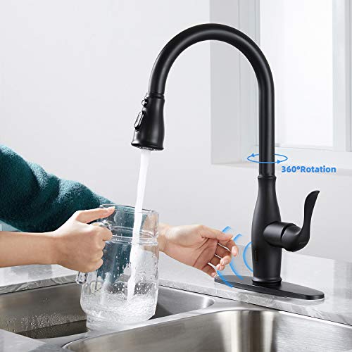 Touchless Kitchen Faucet with Pull Down Sprayer , Single Handle Motion