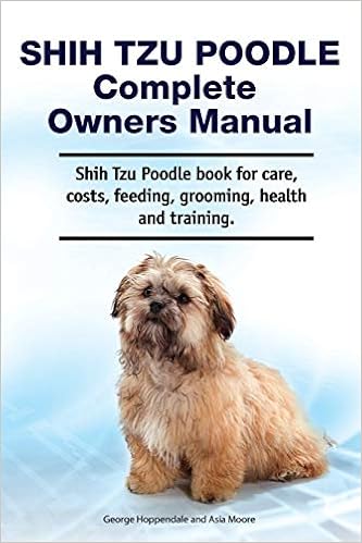 How to take care of shih tzu poodle