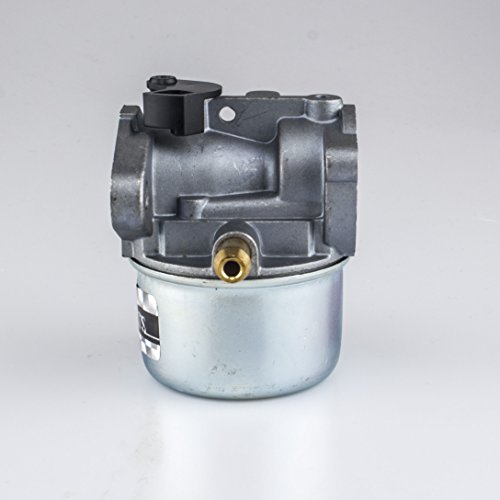 UMPARTS UMB-301 Carburetor for Briggs & Stratton 498170 497586 497314 498254 497347 497410 698444 694202 799868 with Gasket & O-Ring, 4-7 hp Engines with No Choke