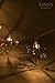 Ling's moment Rose Gold Cactus Shaped Metal Cage 5Ft 10LED String Light for Wedding Decor Hawaii Party Room Fairy Light Cactus Party Decorations Battery Operated(Warm White Light)