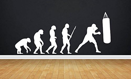Boxing Box Boxer Wall Decal Evolution MMA Mixed Martial Arts Cage Octagon Sport Striking Grappling Wall Art Wall Decals Wall Stickers Tr160 A