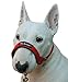 Dog Head Collar Halter Red 6 Sizes (S: 6.5