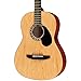 Rogue Starter Acoustic Guitar Matte Natural