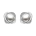 18K Silver Stud Earrings & Faux Pearl Earrings Set Zircon Twist for Women Jewelry