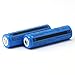 FIXED Star 3000mAh 18650 3.7V Lithium ion Rechargeable Batteries Button Top Blue 2 Packs and Smart Wired 18650 Li-ion Battery Charger