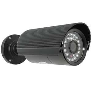Amazon.com : GW Security Inc GW745L GW 1/3-Inch SONY CCD
