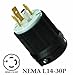 Powertronics Connections, NEMA L14-30 Plug