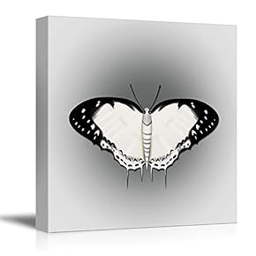 Canvas Wall Art Colorful Butterfly Pictures Home Wall Decorations for Bedroom Living Room Paintings Canvas Prints Framed - 12x12 inches