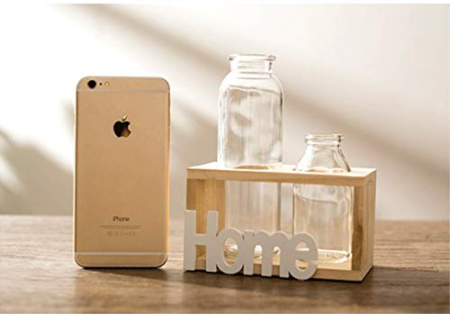 SUNRUNERS Bottel Light Glass Planter Hydroponics Terrarium with Wooden Stand for Home Office Decor Raw Wood 3 Terrarium